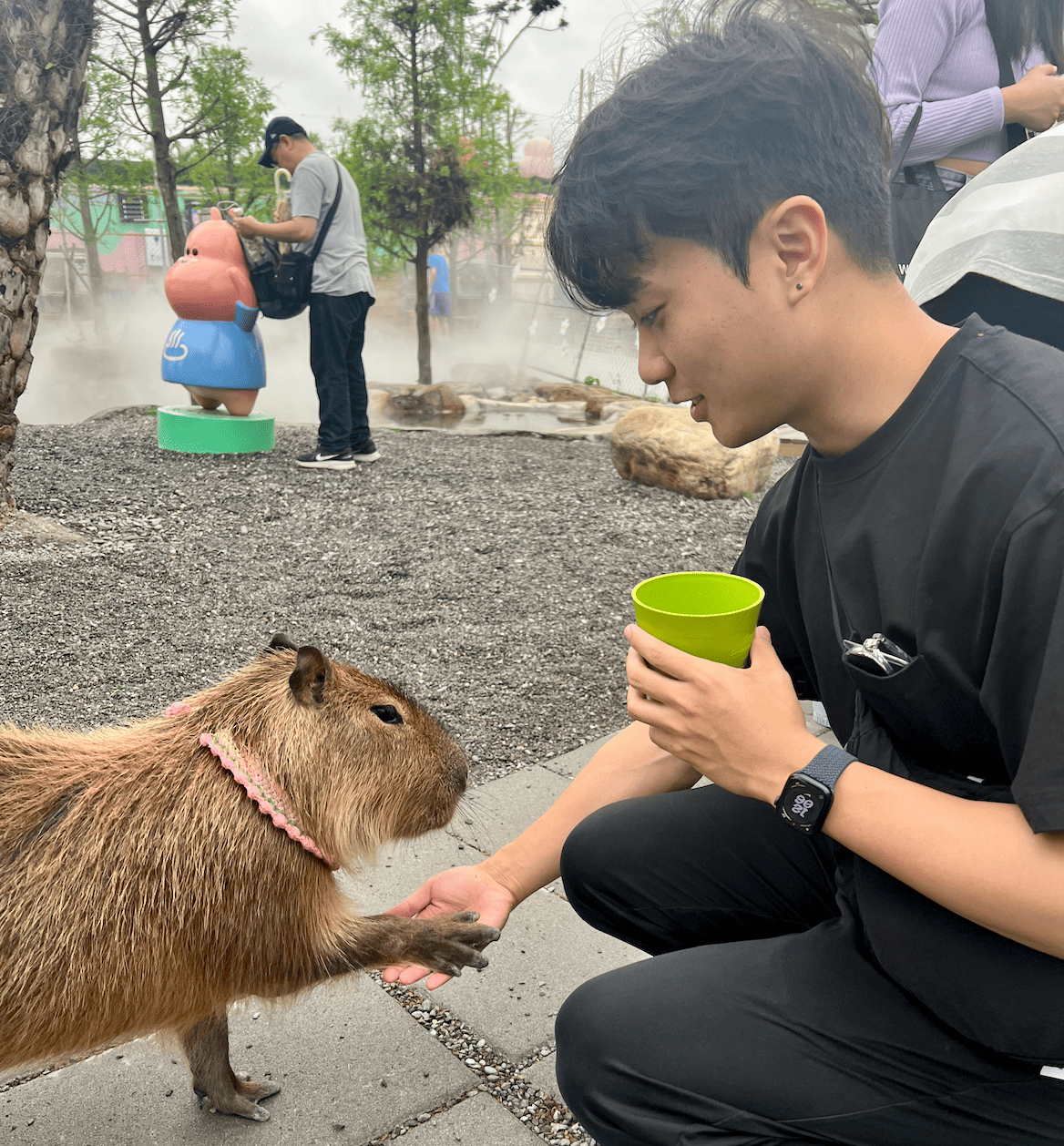 Po-Chih (Toby) Chen